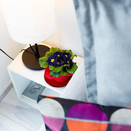 Fancy Little Charmer Apartament *